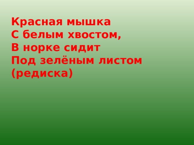Красная мышка С белым хвостом, В норке сидит Под зелёным листом (редиска) 