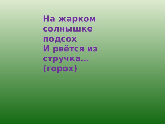 На жарком солнышке подсох И рвётся из стручка…(горох) 