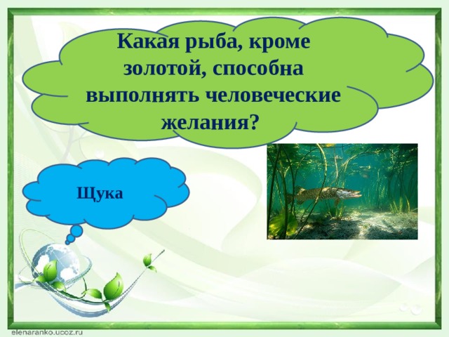 Какая рыба, кроме золотой, способна выполнять человеческие желания? Щука 