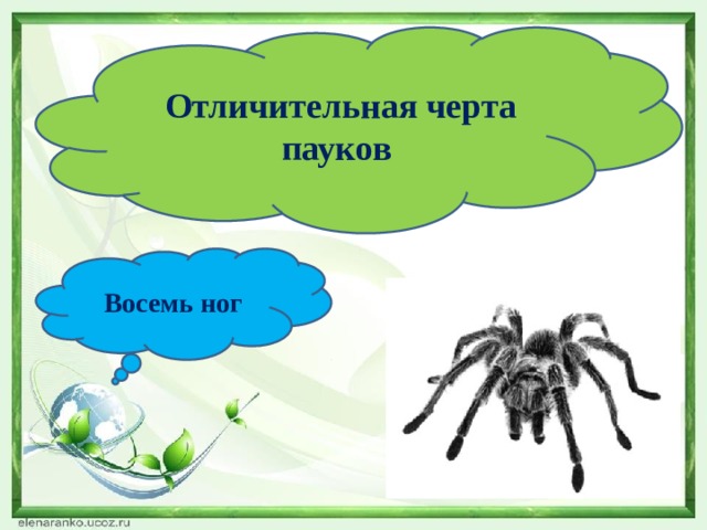  Отличительная черта пауков Восемь ног 