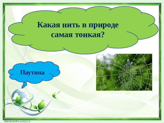 Какая нить в природе самая тонкая? Паутина 