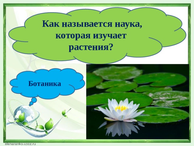  Как называется наука, которая изучает растения? Ботаника 
