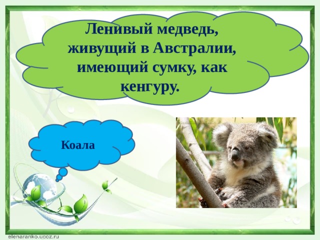 Ленивый медведь, живущий в Австралии, имеющий сумку, как кенгуру. Коала 