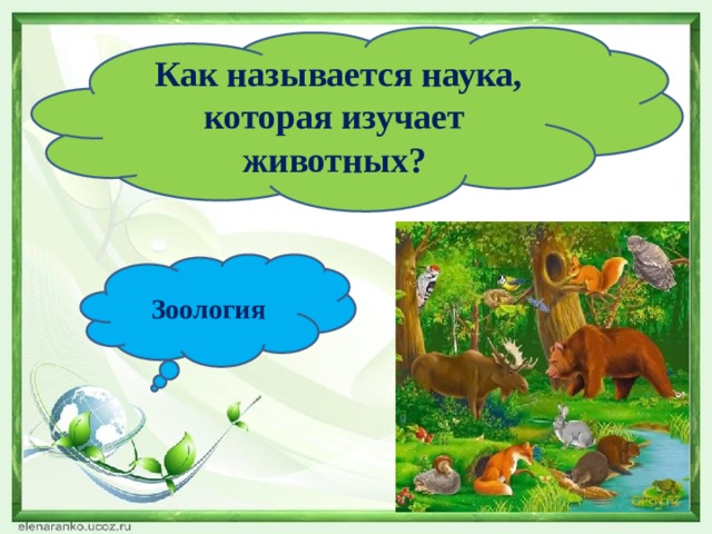  Как называется наука, которая изучает животных? Зоология 