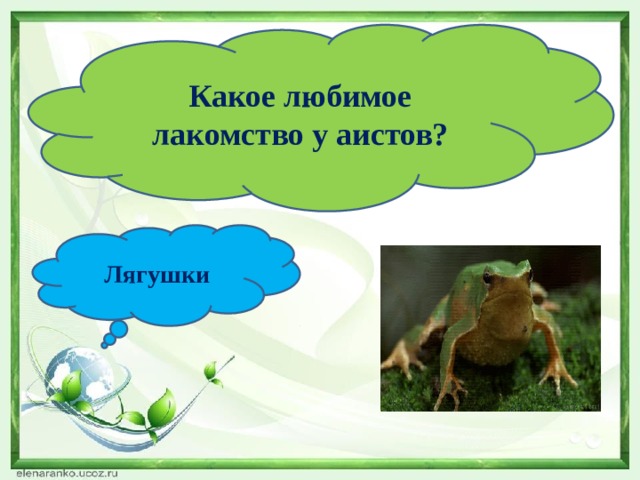 Какое любимое лакомство у аистов? Лягушки 