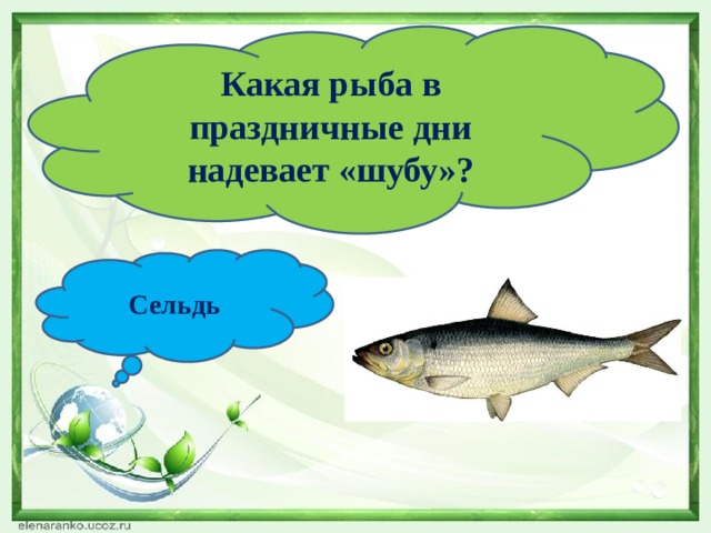 Какая рыба в праздничные дни надевает «шубу»? Сельдь 