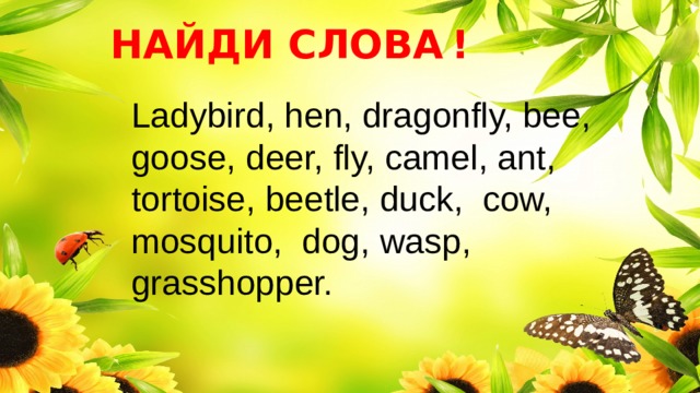 НАЙДИ СЛОВА  ! Ladybird, hen, dragonfly, bee, goose, deer, fly, camel, ant, tortoise, beetle, duck, cow, mosquito, dog, wasp, grasshopper. 