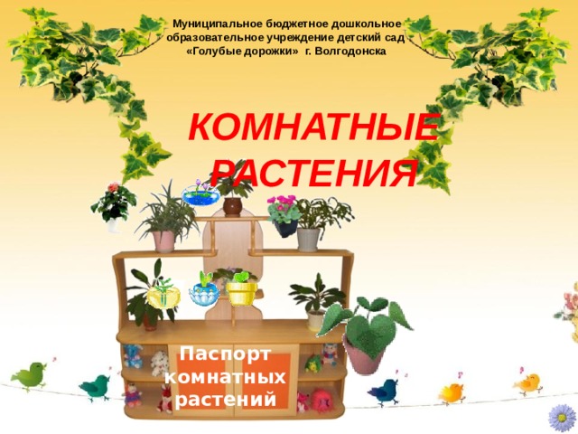 Муниципальное бюджетное дошкольное образовательное учреждение детский сад «Голубые дорожки» г. Волгодонска КОМНАТНЫЕ РАСТЕНИЯ Паспорт комнатных растений 