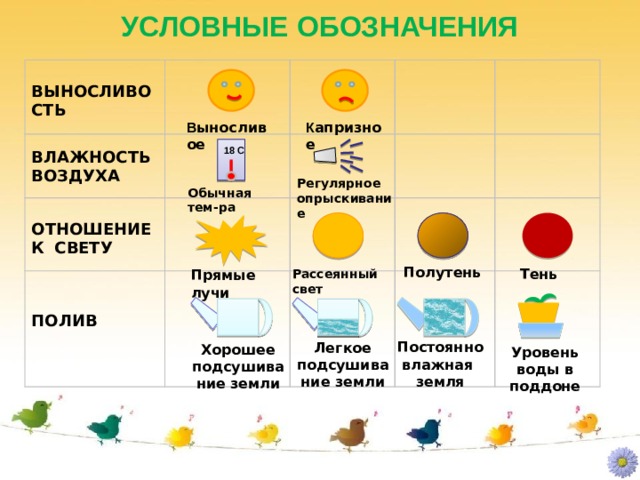 УСЛОВНЫЕ ОБОЗНАЧЕНИЯ  ВЫНОСЛИВОСТЬ   ВЛАЖНОСТЬ ВОЗДУХА   ОТНОШЕНИЕ  К  СВЕТУ ПОЛИВ В ыносливое К апризное 18 С Регулярное опрыскивание Обычная тем-ра Полутень Тень Рассеянный свет Прямые лучи Постоянно влажная земля Легкое подсушивание земли Хорошее подсушивание земли Уровень воды в поддоне 