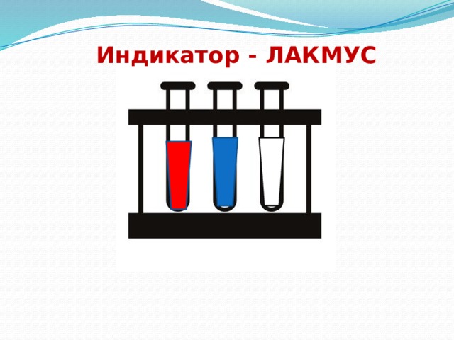 Индикатор - ЛАКМУС 