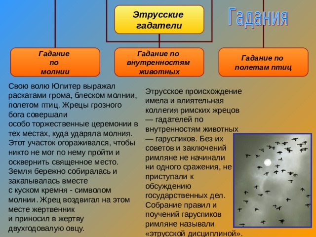 Этрусские гадатели Гадание по молнии Гадание по внутренностям животных Гадание по полетам птиц Свою волю Юпитер выражал раскатами грома, блеском молнии, полетом птиц. Жрецы грозного бога совершали  особо торжественные церемонии в тех местах, куда ударяла молния. Этот участок огораживался, чтобы никто не мог по нему пройти и  осквернить священное место. Земля бережно собиралась и закапывалась вместе  с куском кремня - символом молнии. Жрец воздвигал на этом месте жертвенник  и приносил в жертву двухгодовалую овцу. Этрусское происхождение имела и влиятельная коллегия римских жрецов — гадателей по внутренностям животных — гаруспиков. Без их советов и заключений римляне не начинали ни одного сражения, не приступали к обсуждению государственных дел. Собрание правил и поучений гаруспиков римляне называли «этрусской дисциплиной». 