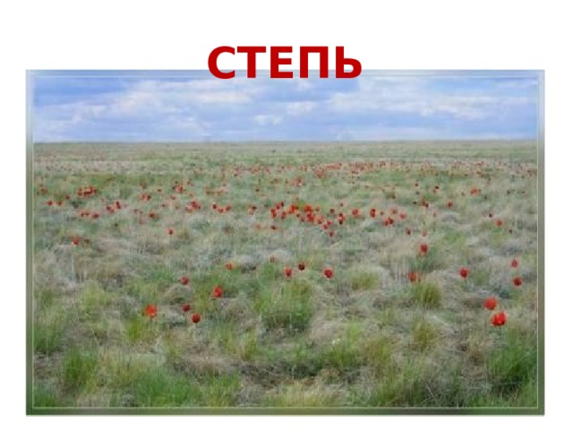 СТЕПЬ 