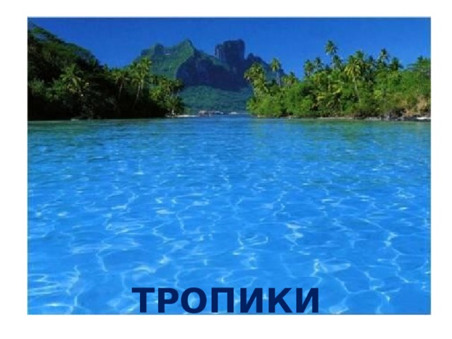 ТРОПИКИ 