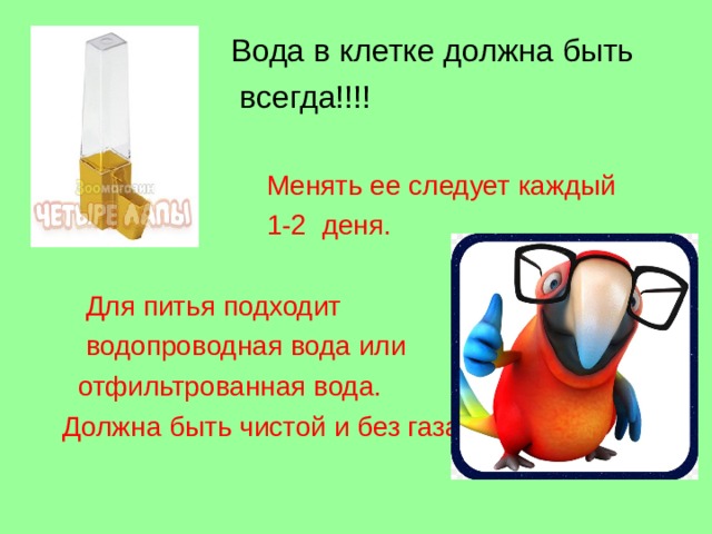  Вода в клетке должна быть  всегда!!!!  Менять ее следует каждый  1-2 деня.   Для питья подходит  водопроводная вода или  отфильтрованная вода.  Должна быть чистой и без газа. 