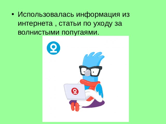 Использовалась информация из интернета , статьи по уходу за волнистыми попугаями. 