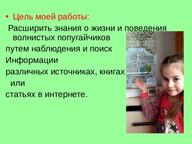 Цель моей работы:   Расширить знания о жизни и поведения волнистых попугайчиков путем наблюдения и поиск Информации различных источниках, книгах  или статьях в интернете. 