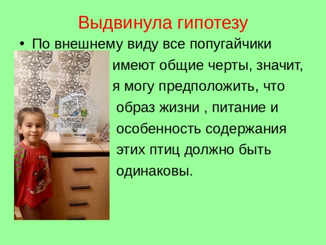 Выдвинула гипотезу По внешнему виду все попугайчики  имеют общие черты, значит,  я могу предположить, что  образ жизни , питание и  особенность содержания  этих птиц должно быть  одинаковы. 