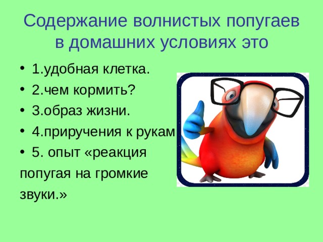 Содержание волнистых попугаев в домашних условиях это 1.удобная клетка. 2.чем кормить? 3.образ жизни. 4.приручения к рукам. 5. опыт «реакция попугая на громкие звуки.» 