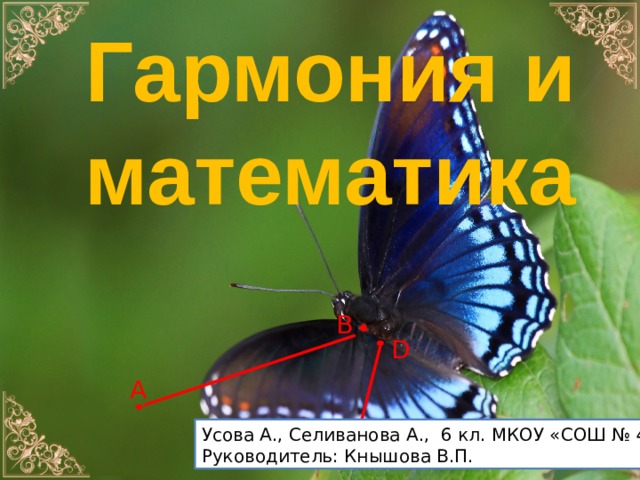 Гармония и математика В D А Усова А., Селиванова А., 6 кл. МКОУ «СОШ № 42» Руководитель: Кнышова В.П. 