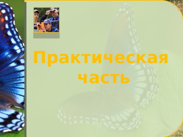 Практическая часть 
