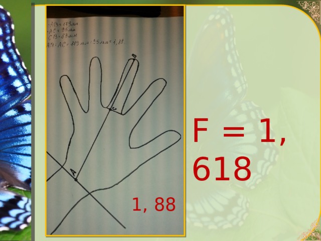 F = 1, 618 1, 88 