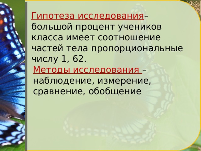 Гипотеза исследования – большой процент учеников класса имеет соотношение частей тела пропорциональные числу 1, 62. Методы исследования – наблюдение, измерение, сравнение, обобщение 