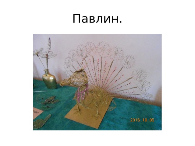 Павлин. 