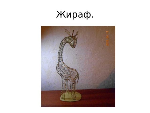 Жираф. 