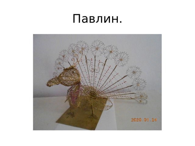 Павлин. 