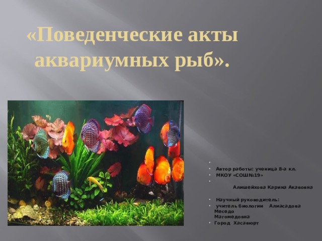 «Поведенческие акты аквариумных рыб».    Автор работы: ученица 8-а  кл.  МКОУ «СОШ№19»  Алишейхова Карина Акавовна   Научный руководитель:  учитель биологии Алиасадова Меседо Магомедовна Город Хасавюрт 