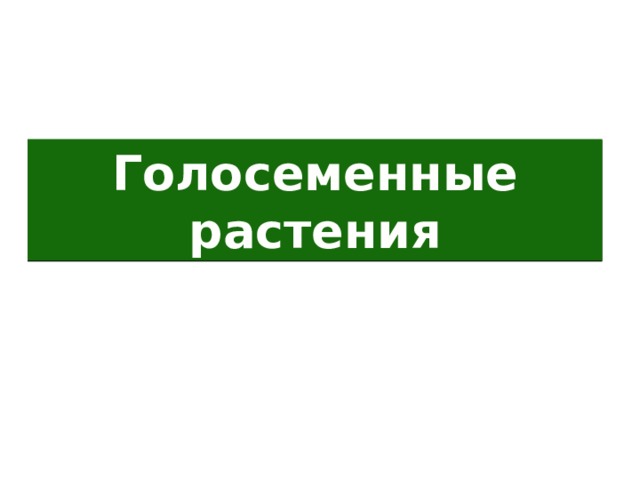 Голосеменные растения 
