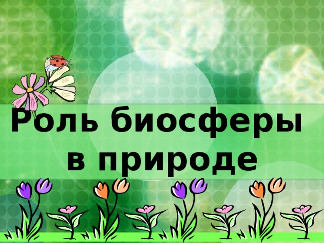 Роль биосферы  в природе  