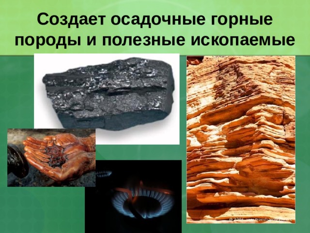 Создает осадочные горные породы и полезные ископаемые 