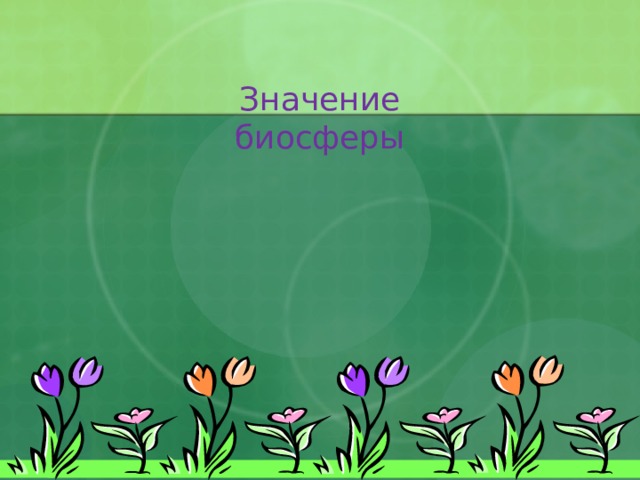  Значение биосферы 