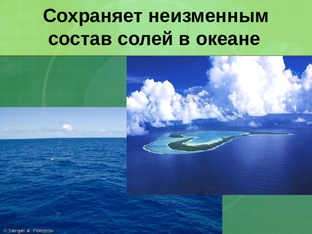  Сохраняет неизменным  состав солей в океане 