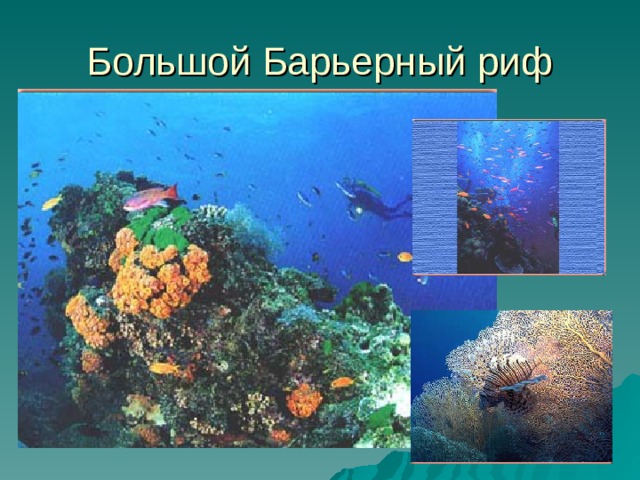 Большой Барьерный риф 