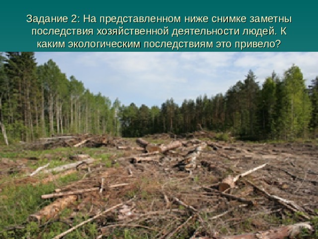 Задание 2: На представленном ниже снимке заметны последствия хозяйственной деятельности людей. К каким экологическим последствиям это привело?   