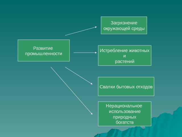 Загрязнение окружающей среды Развитие промышленности Истребление животных  и растений Свалки бытовых отходов Нерациональное использование природных богатств 