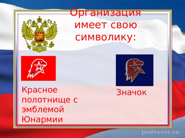 Организация имеет свою символику: Значок Красное полотнище с эмблемой Юнармии 