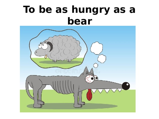 To be as hungry as a bear 