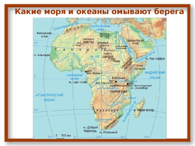 Какие моря и океаны омывают берега Африки? 
