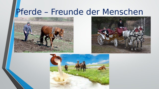 Pferde – Freunde der Menschen 
