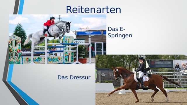 Reitenarten Das E-Springen Das Dressur 