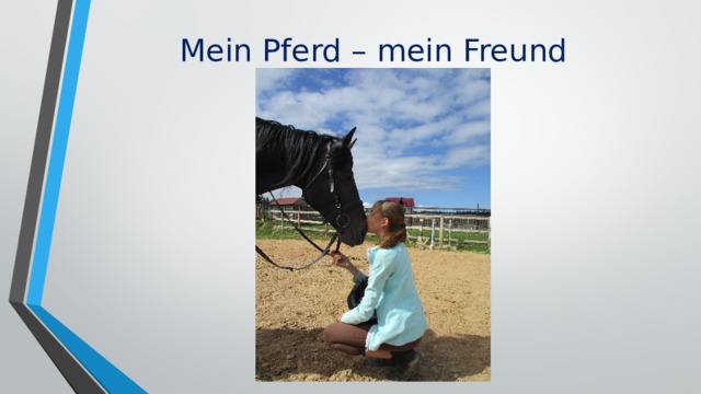 Mein Pferd – mein Freund 