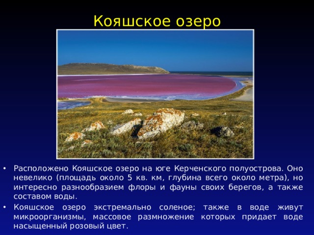 Кояшское озеро   Расположено Кояшское озеро на юге Керченского полуострова. Оно невелико (площадь около 5 кв. км, глубина всего около метра), но интересно разнообразием флоры и фауны своих берегов, а также составом воды. Кояшское озеро экстремально соленое; также в воде живут микроорганизмы, массовое размножение которых придает воде насыщенный розовый цвет. 