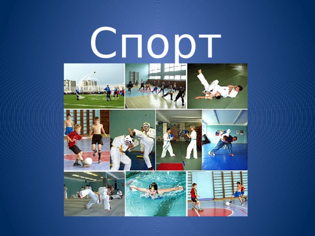Спорт 