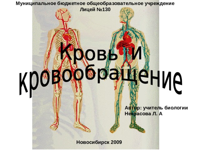 Муниципальное бюджетное общеобразовательное учреждение Лицей №130 Автор: учитель биологии Некрасова Л. А Новосибирск 2009 