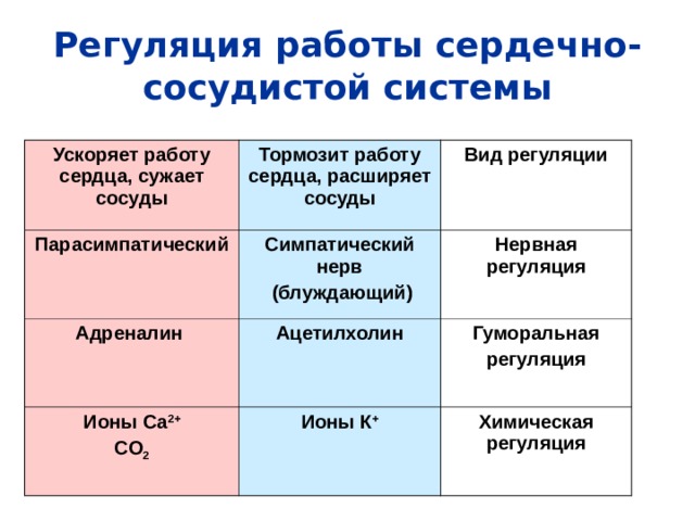 Регуляция работы сердечно-сосудистой системы Ускоряет работу сердца, сужает сосуды Тормозит работу сердца, расширяет сосуды Парасимпатический Вид регуляции Симпатический нерв  (блуждающий) Адреналин Ацетилхолин Нервная регуляция Ионы Са 2+ CO 2 Гуморальная регуляция Ионы К + Химическая регуляция 