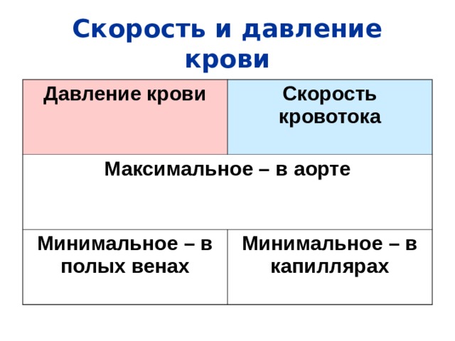 Скорость и давление крови Давление крови Скорость кровотока Максимальное – в аорте Минимальное – в полых венах Минимальное – в капиллярах 