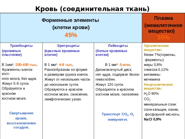 Кровь (соединительная ткань)   Форменные элементы (клетки крови) 45% Тромбоциты (кровяные пластинки) В 1мм 3 : 200-400  тыс . Фрагменты клеток кост- ного мозга, без ядра. Живут 5-8 суток. Образуются в красном костном мозге.  Эритроциты (красные кровяные клетки) Плазма (межклеточное вещество) 55%  Свертывание крови, восстановление сосудов.  В 1 мм 3 : 4-9 тыс . Разнообразная по форме и размерам группа клеток. Живут от нескольких часов до нескольких суток. Образуются в красном костном мозге, селезёнке, лимфотических узлах. Лейкоциты ( белые кровяные клетки) В 1 мм 3 : 5 млн . Двояковогнутый диск, нет ядра, содержат белок- гемоглобин. Живут 120 суток. Образуются в красном костном мозге, селезёнке.  Органические вещества:  Транспорт CO 2 , O 2 иммунитет. белки 7%(гормоны,  ферменты) жиры 0,8% глюкоза 0,12% витамины мочевина Неорганические вещества: H 2 O 90% CO 2 минеральные соли: соли кальция, калия,  фосфорной кислоты, NaCl 0 , 9%   